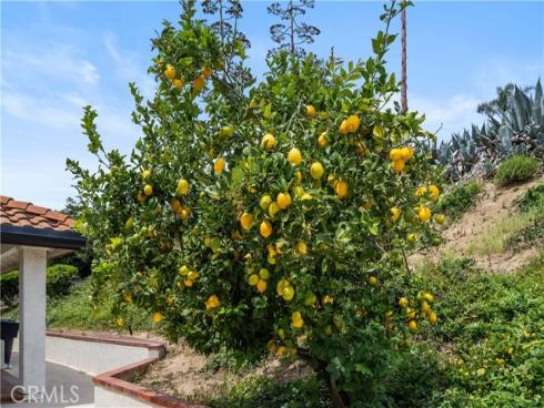 3755  Forest   Avenue, Yorba Linda, CA