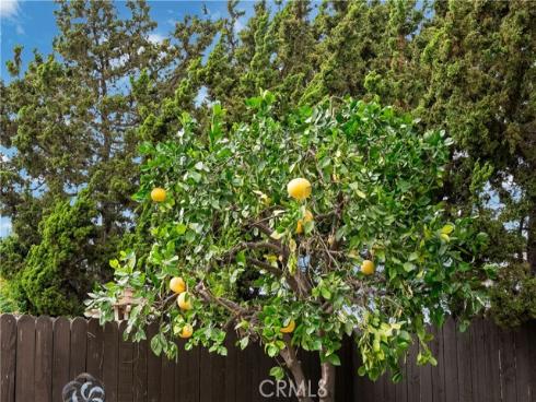 19971  Fernglen  , Yorba Linda, CA