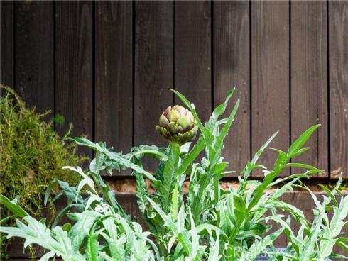 19971  Fernglen  , Yorba Linda, CA