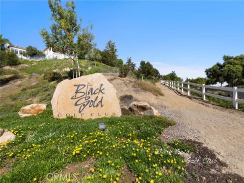 17284 Coriander Court, Yorba Linda, CA