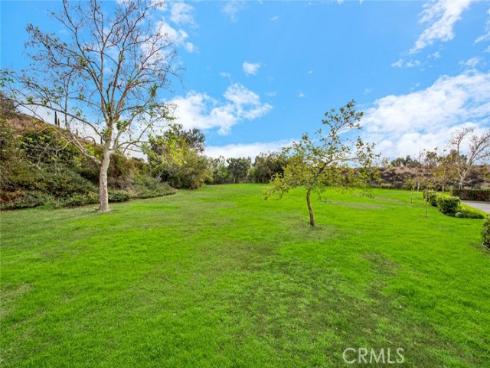 19138 Alamo 158 Lane, Yorba Linda, CA