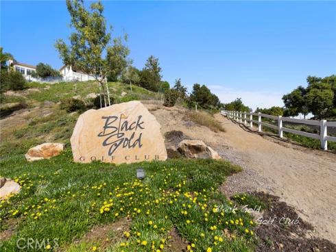 17277  Coriander   Court, Yorba Linda, CA