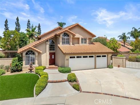 Alt Goes Here