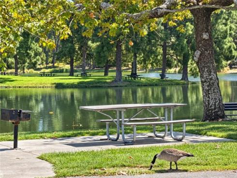 19701 Bluefield Plaza, Yorba Linda, CA